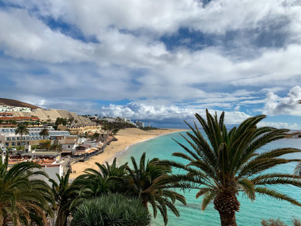 istock View from above of Morro Jable, Date palm trees and Atlantic ocean 1294626098