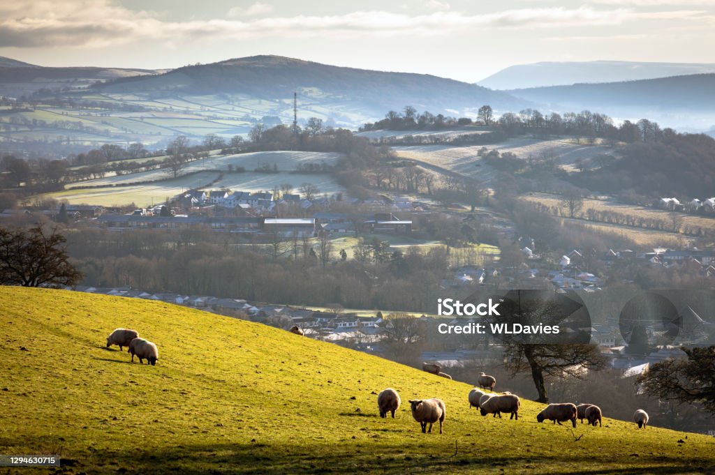 Welsh Rural Rural Welsh Landscape Stock Photo - Download Image Now - UK, Town, Hill ...