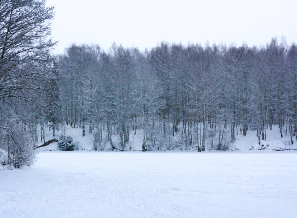 istock Winter landscape, frozen river covered with snow and trees 1294632790
