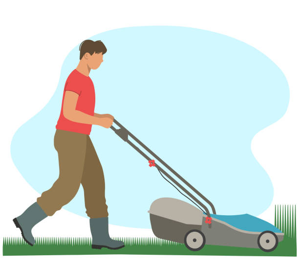Gardening. Male gardener mows the grass with a lawn mower. Gardening. Male gardener mows the grass with a lawn mower. Vector illustration in the flat design style. lawn mower clip art stock illustrations