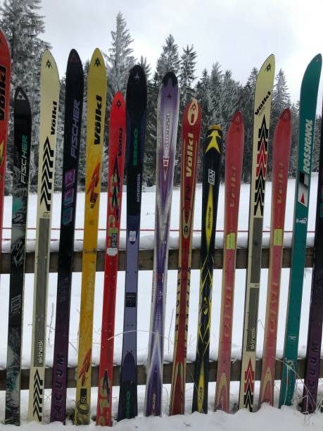 A fence made from old skis