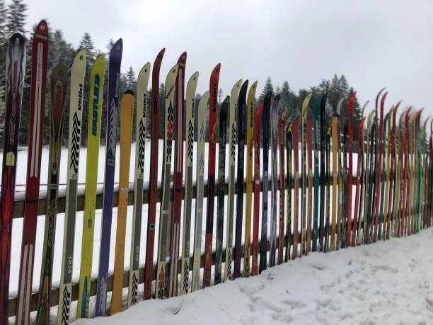 istock A fence made from old skis 1294634898