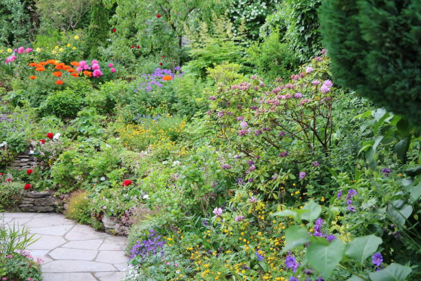 istock Blooming summer on Gotland island, Sweden 1294635235