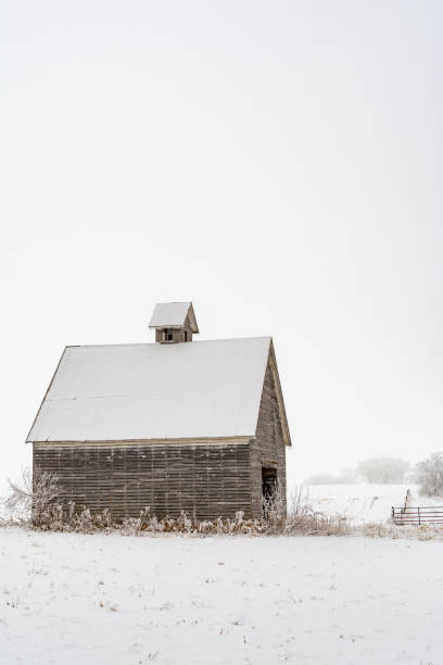 vieille grange rustique en bois dans la neige un jour froid et brumeux d’hiver.  comté de lasalle, illinois. - corncrib photos et images de collection