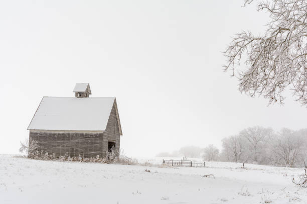 vieille grange rustique en bois dans la neige un jour froid et brumeux d’hiver.  comté de lasalle, illinois. - corncrib photos et images de collection