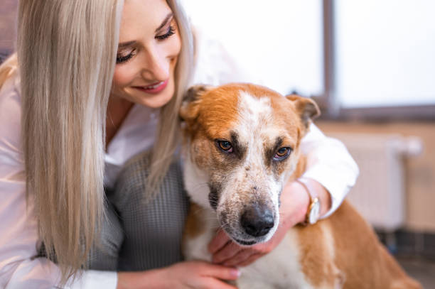 istock Beautiful woman hugging a dog 1294640477
