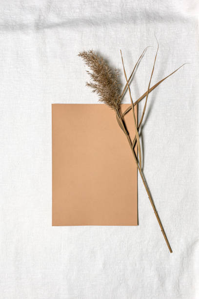 istock Paper sheet and dried reed flower on white linen 1294640597