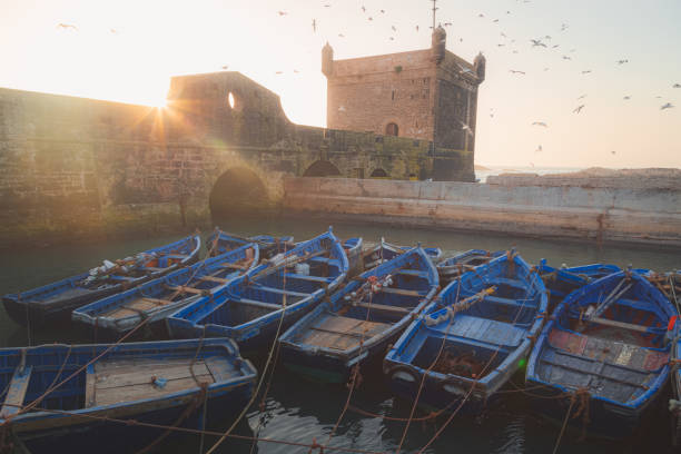 A clear evening portside at Scala Habour in the historic Essaouira Citadel with flocks of seagulls filling the sky.