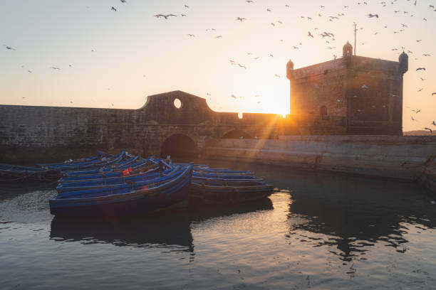 A clear evening portside at Scala Habour in the historic Essaouira Citadel with flocks of seagulls filling the sky.