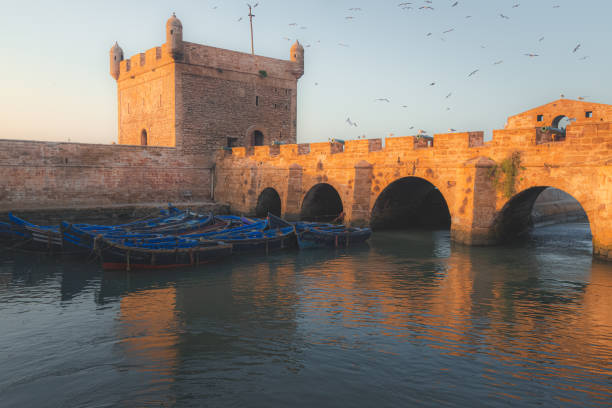A clear evening portside at Scala Habour in the historic Essaouira Citadel with flocks of seagulls filling the sky.