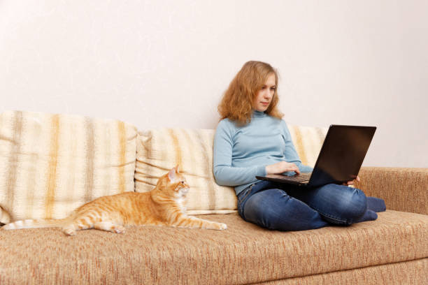 istock woman sit on sofa at home and using notebook. Working online at home, internet surfing or online shopping. 1294642325