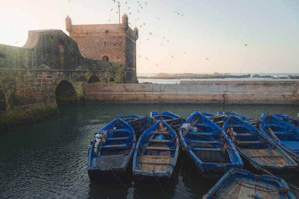 A clear evening portside at Scala Habour in the historic Essaouira Citadel with flocks of seagulls filling the sky.