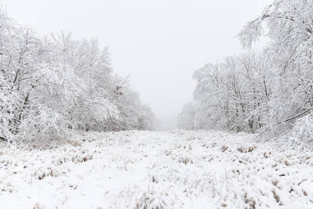 istock Winter Snow and Ice Scene A1R_2457 1294647059
