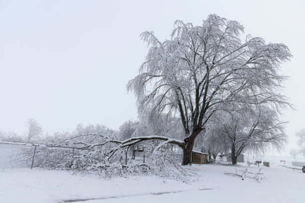 istock Winter Snow and Ice Scene A1R_2497 1294647080