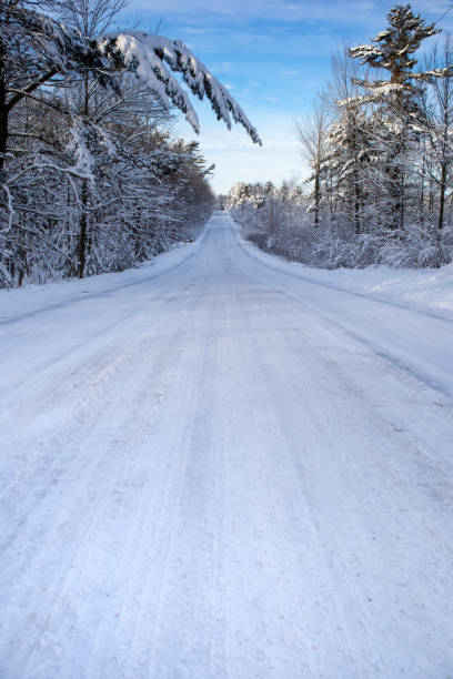 istock Snow covered road and forest in central Wisconsin in January 1294648263