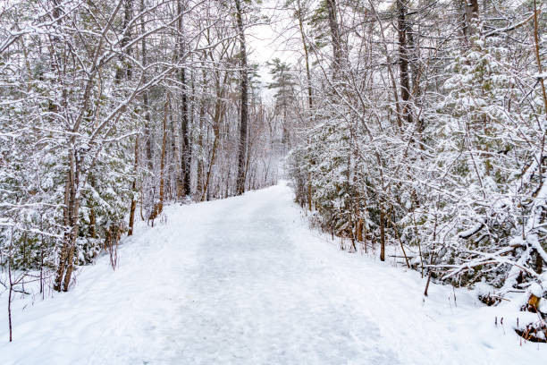 милл-понд-парк в ричмонд-хилл зимой, онтарио, канада - snow ski track color image colors стоковые фото и изображения