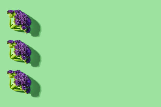 Purple cauliflower raw pattern rhythm in a row on green mint green background with shadow