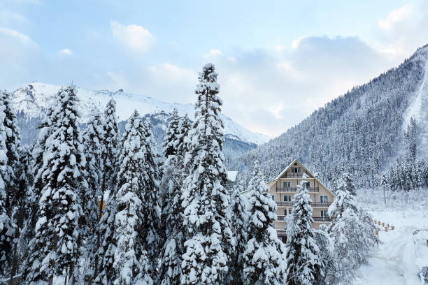 istock Fir trees covered with snow in a mountain village 1294651111