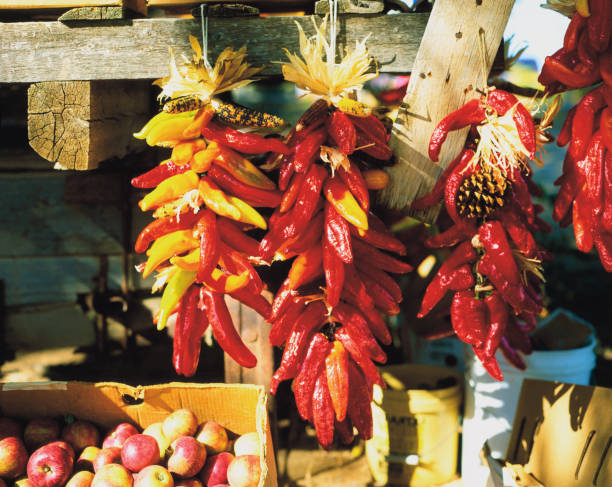 istock Red and Yellow Chile Ristras in New Mexico 1294653641