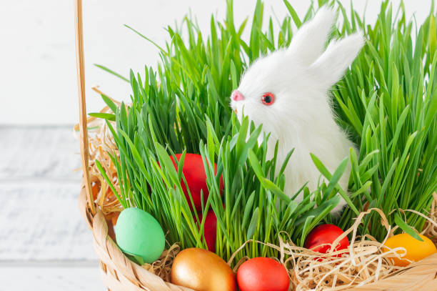 istock Easter basket with green grass filled with brightly colored Easter eggs and White little bunny. Happy Easter. 1294654808