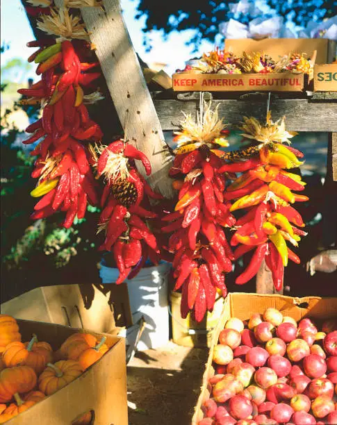 A typical Fall scene in New Mexico at a local market place with red chile ristras and fresh apples