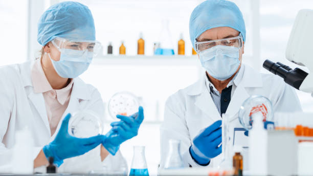 istock Microbiology scientists studying a new type of bacteria . science and health 1294658208