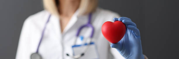 docteur dans les gants en caoutchouc retenant le coeur rouge de jouet dans son plan rapproché de mains - transplantation cardiaque photos et images de collection