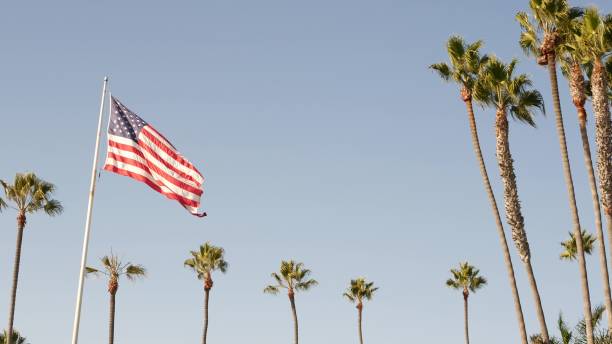 palmas y bandera americana, los angeles, california usa. estética veraniego de santa mónica y venice beach. estandarte, estrellas y rayas. atmósfera de patriotismo en hollywood. old glory - star spangled banner fotografías e imágenes de stock