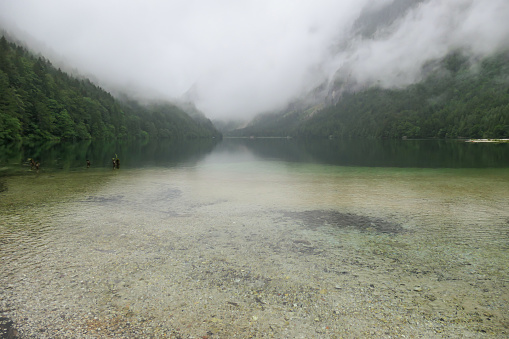 Idyllic view on Leopoldsteiner lake in Austria. The lake is surrounded by high Alps, covered in thick fog. Rainy weather. The shallow water is crystal clear, spring water has a calm surface. Serenity