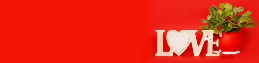 Banner with the inscription LOVE with a flower in a red pot on a red background. Valentine's day concept. Horizontal format. Place for text.