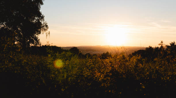 istock Enjoying sunset in a flower field 1294664062