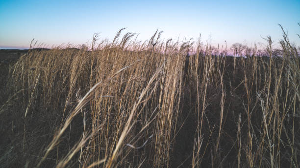 istock Out of the Badlands 1294664448