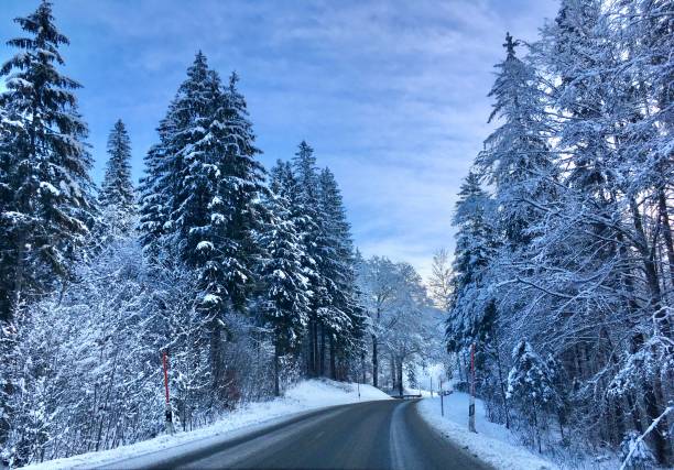 istock Walking path in the snow-covered forest of Bavaria 1294668582