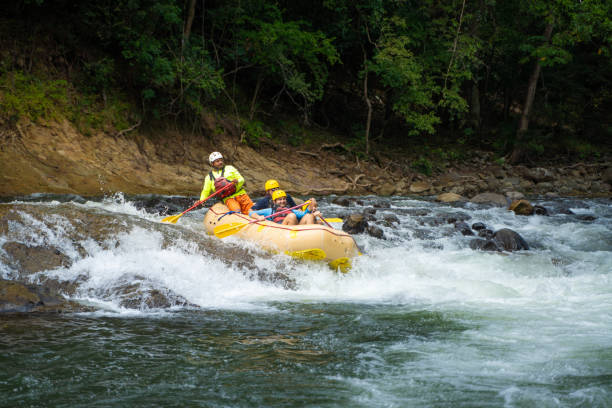 istock Rafting adventure paddling on the rapids 1294670583