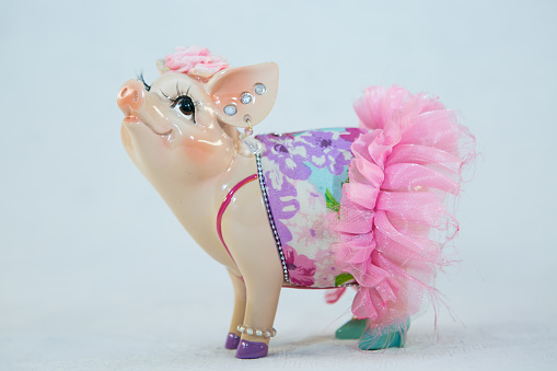 Ceramic piggy bank in a pink skirt. Close up on a white background.
