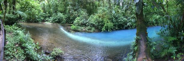 istock Rio Celeste (Celeste River) in Costa Rica 1294671315