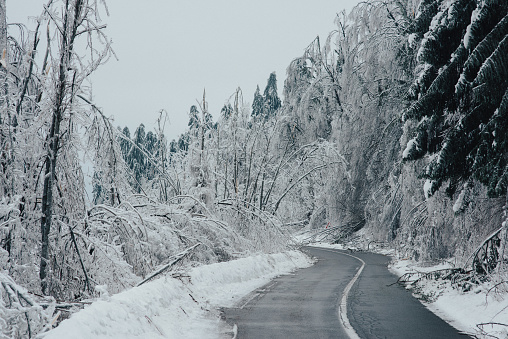 Road during the catastrophic sleet in the winter. No people, road is surrounded by frozen and broken trees. Horizontal, copy space