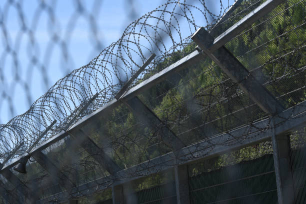 istock barbed wire fence as security measurement in prison 1294678281