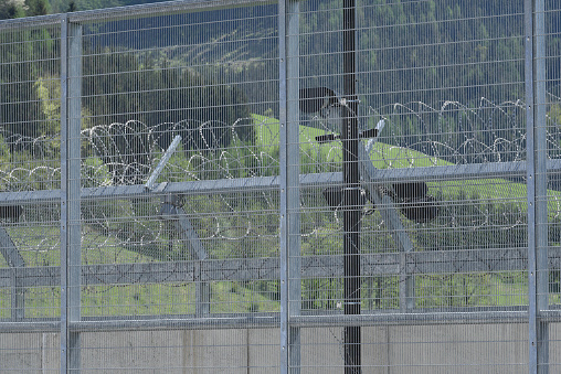 a barbed wire fence as a security measurement in prison