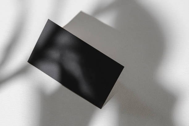 istock Foliage shadow on paper background with business card 1294681751