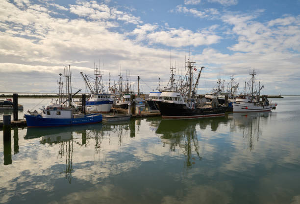 istock Steveston Harbour Commercial Fishboats 1294682754