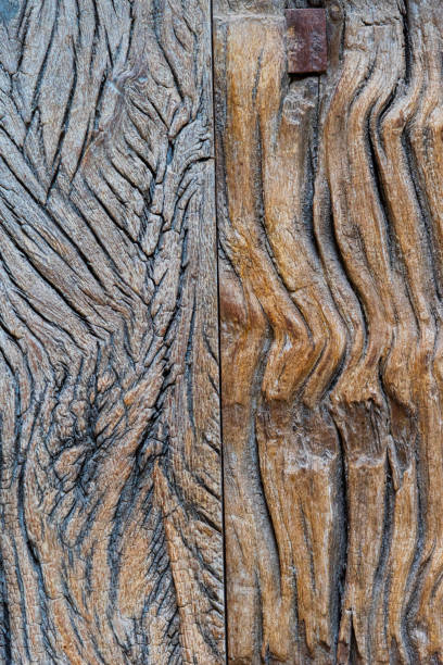 Textured natural wood background with golden highlighted grooves. Ancient wood in detail, grooves and veins, artistic composition. Old plank wooden wall background. The texture of old wood. Weathered piece of wood. High quality photo
