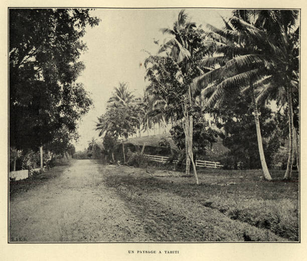 vintage-foto einer landschaft in tahiti, viktorianischen 19. jahrhundert - landschaft fotos stock-fotos und bilder