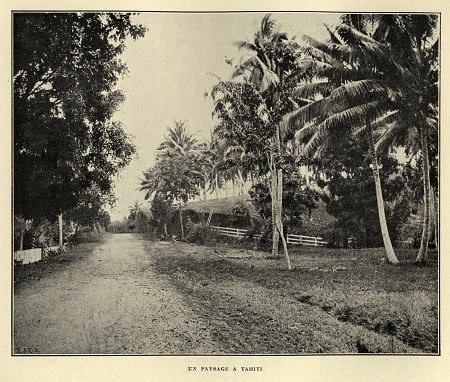 Vintage photograph of a landscape in Tahiti, Victorian 19th Century