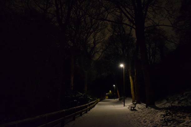 istock A snowy night in the dene 1294686910