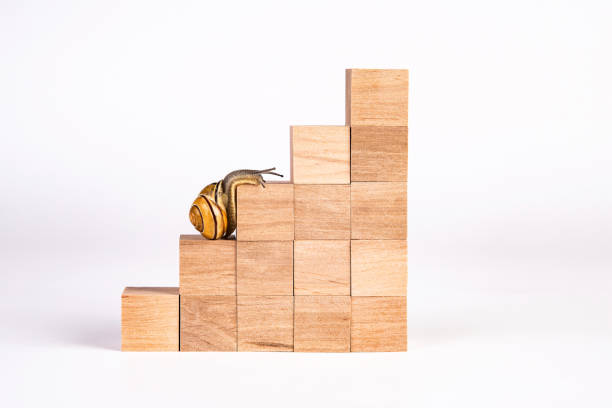 Snail walk up the career stairs. Ladder made with wooden cubes. Snail walk up the career stairs. Ladder made with wooden cubes. Concept of personal development, career , changes, success. slow stock pictures, royalty-free photos & images