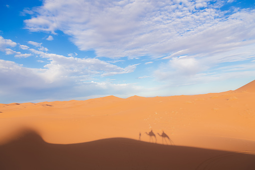 A camelback excursion along the desert sand dunes of Erg Chebbi near the village of Merzouga in southeastern Morocco.