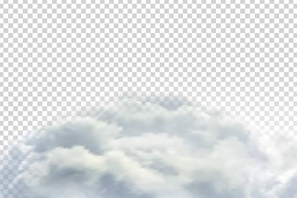 Vector realistic isolated cloud sky for template decoration and covering on the transparent background. Concept of storm and cloudscape. Vector realistic isolated cloud sky for template decoration and covering on the transparent background. Concept of storm and cloudscape. cirrus storm cloud cumulus cloud stratus stock illustrations
