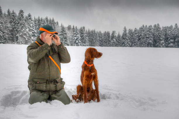 Winter Deerstalking. In winter a hunter kneels in the snow and observes his snowy hunting ground through a small eyepiece, next to him sits his beautiful Irish Setter hunting dog and attentively observes the surroundings. irish setter stock pictures, royalty-free photos & images