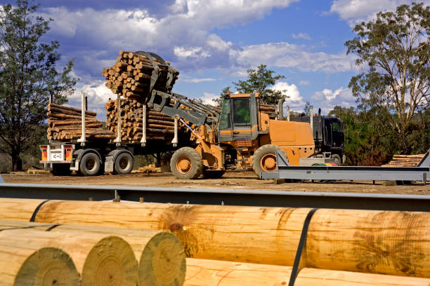 caricamento di un camion. - lumber industry timber truck forklift foto e immagini stock